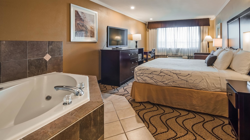 Best Western Plus Orchid Hotel & Suites 18/59