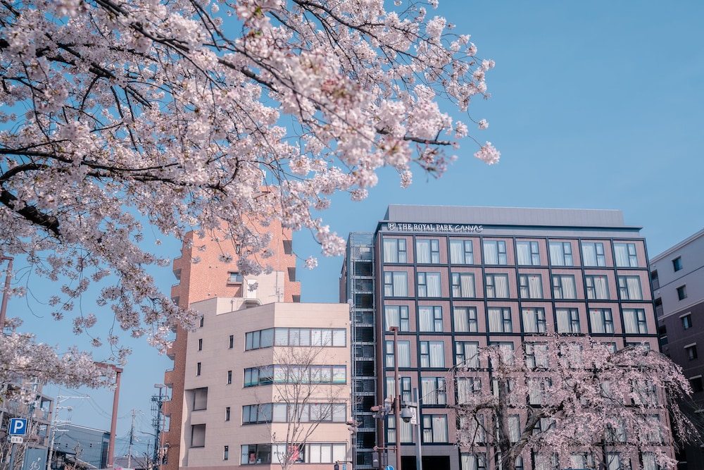 The Royal Park Canvas Kyoto Nijo 2/49