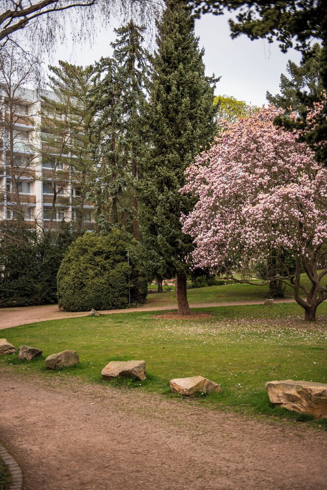 Caravelle Hotel im Park 50/55