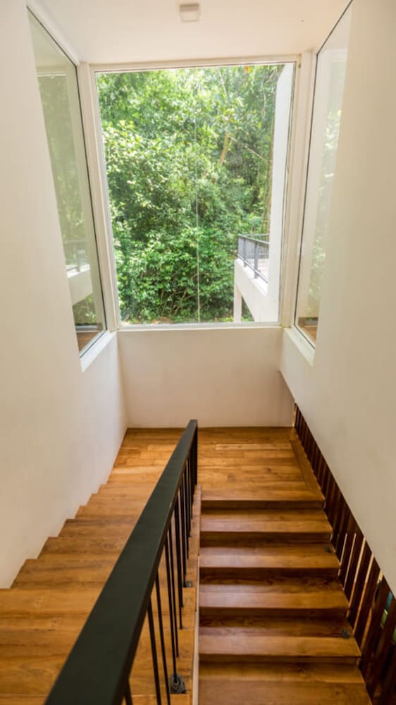 Palmstone Retreat 8/42