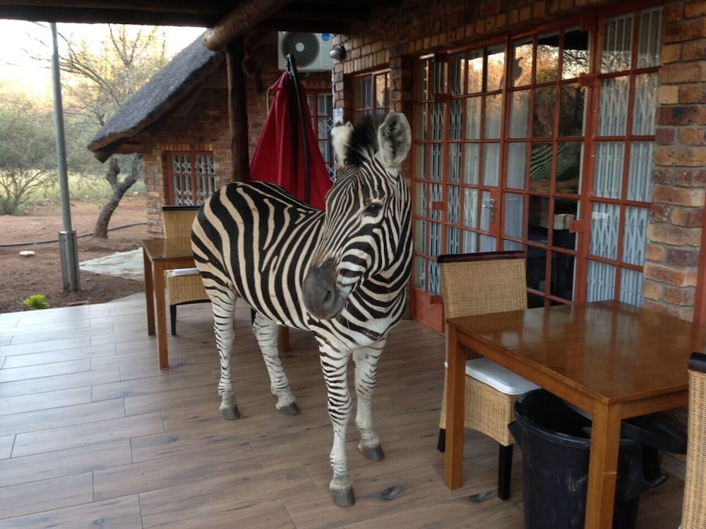 Imbube Safari Lodge 9/50