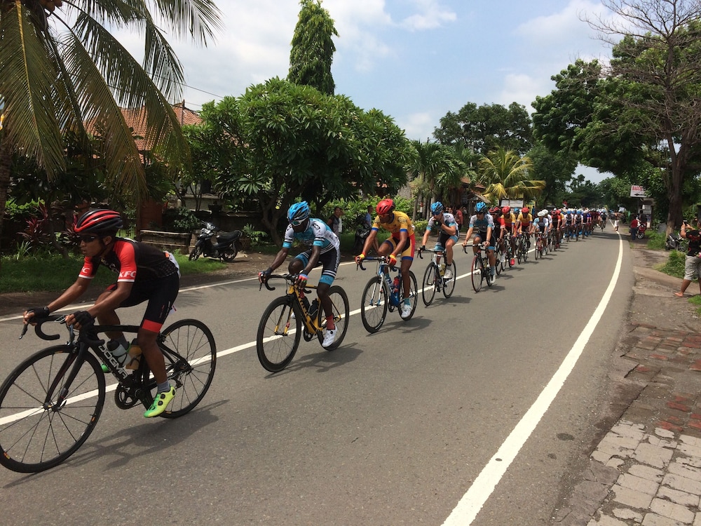 Biorock Homestay 35/49