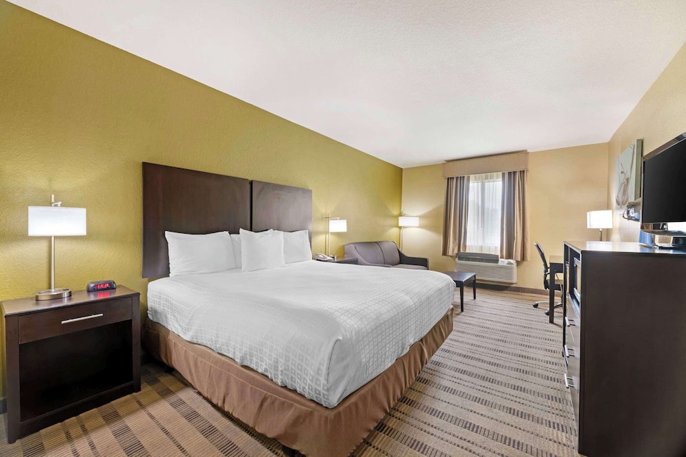 Standard, King Bed, Sofa, Accessible