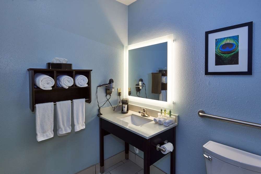 Holiday Inn Express Suites Birmingham South Pelham 42/52