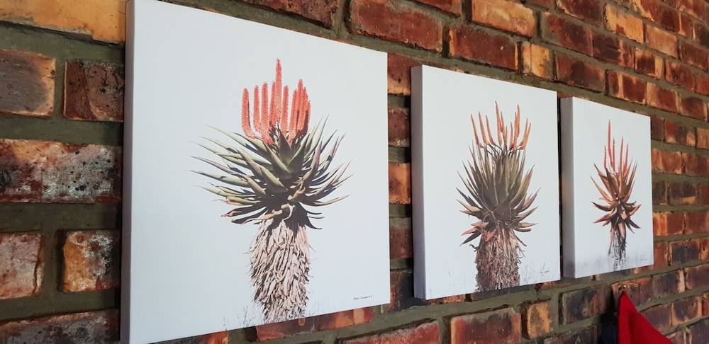 De Pakhuys 3/50