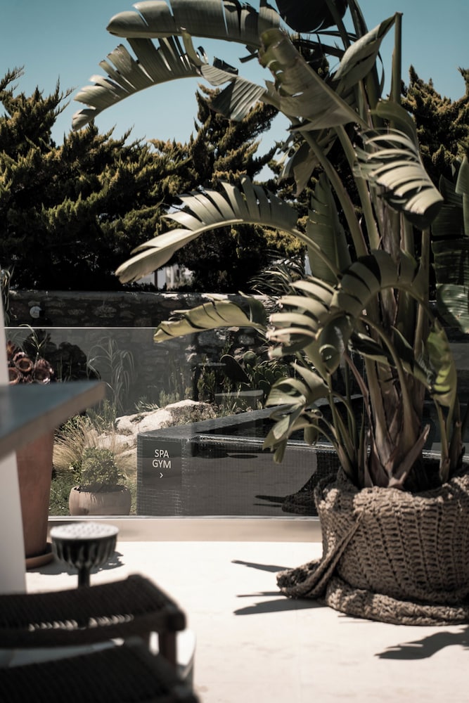 ASTY Mykonos Hotel and Spa 43/50
