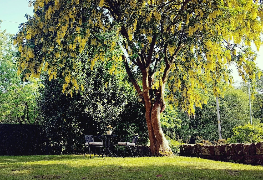 The Beehive Guest House 20/25