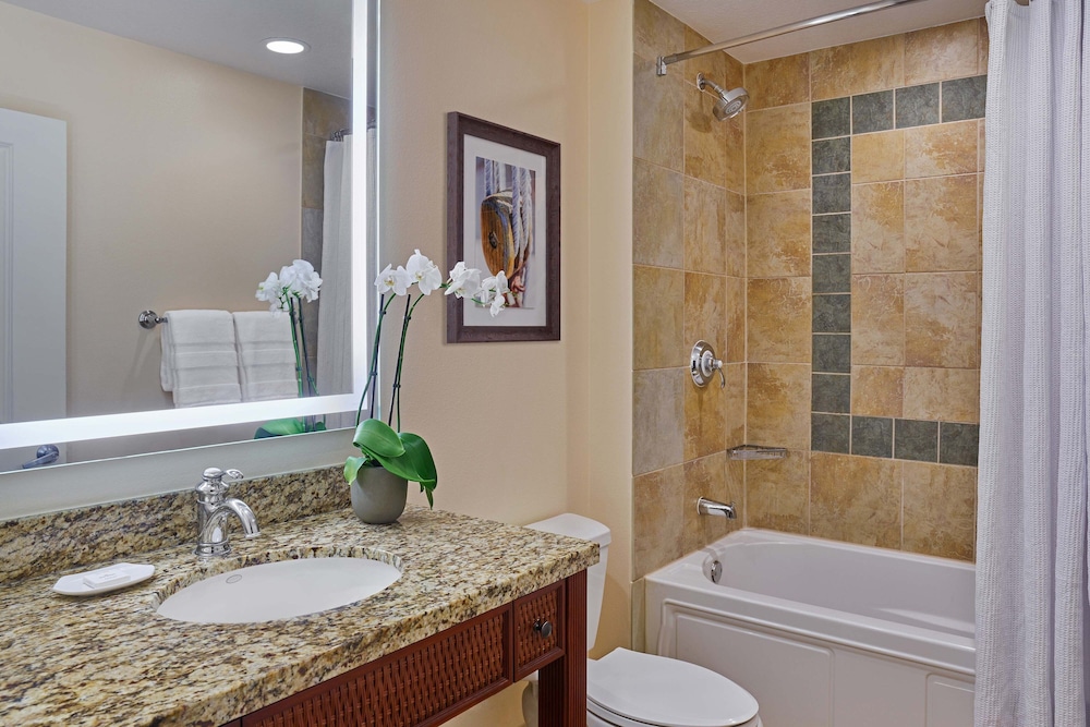 Sheraton Vistana Villages Resort Villas, I-Drive/Orlando 14/39