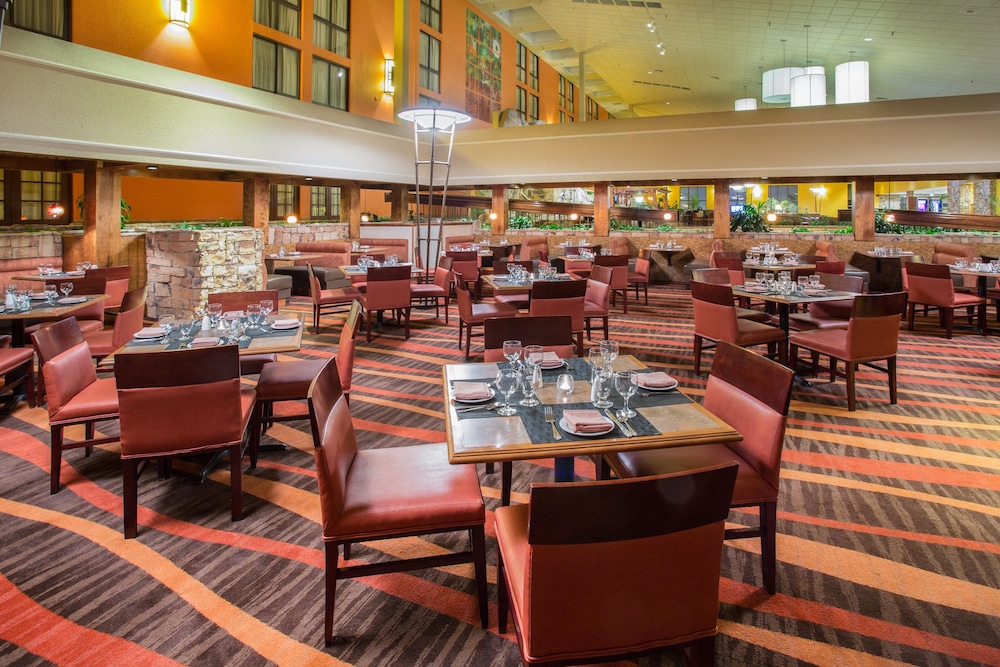 Crowne Plaza Denver Airport Convention Ctr, an Ihg Hotel 28/41