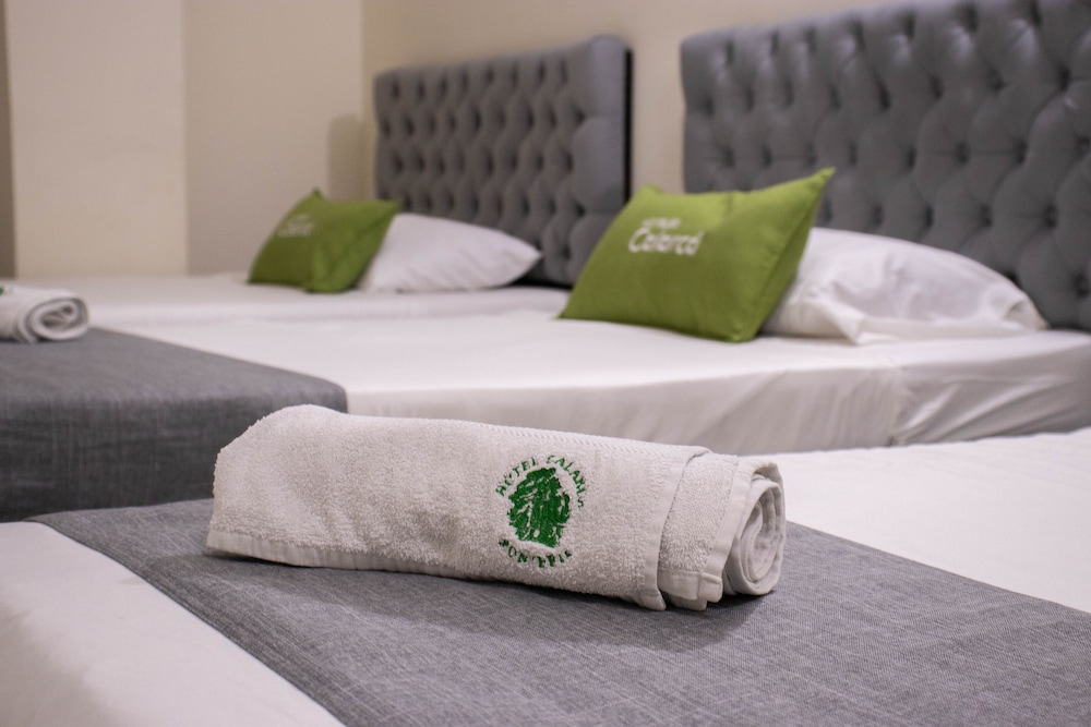 Hotel Calarca 1 31/59