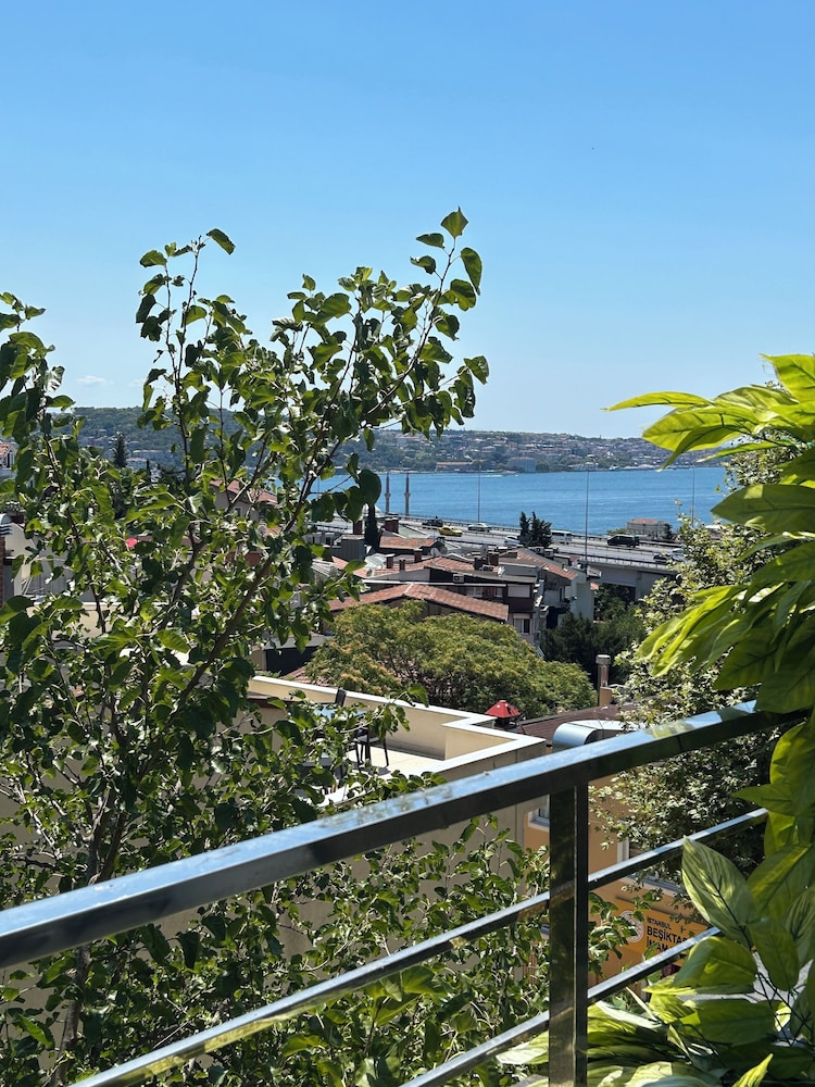 Mona Bosphorus 43/50