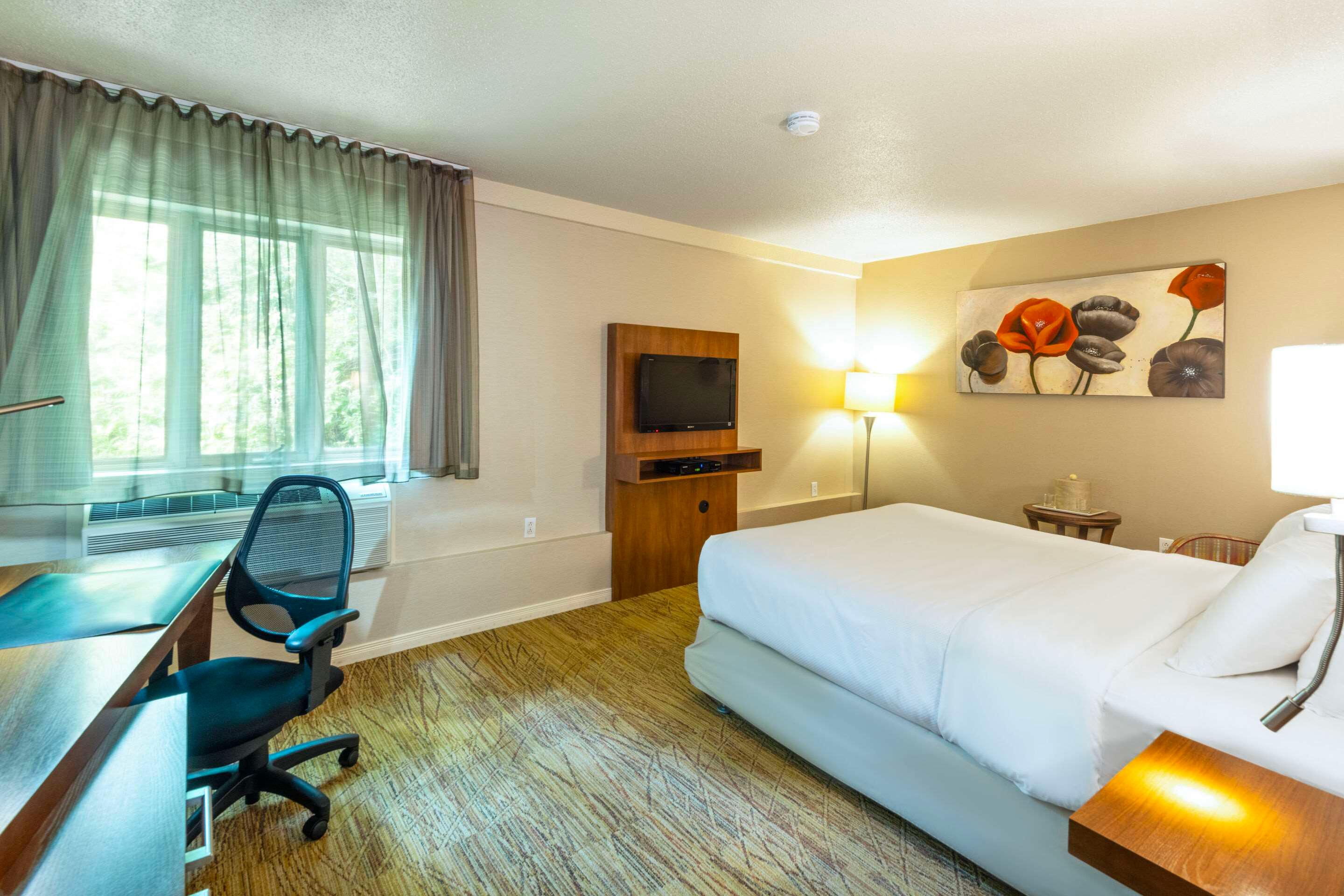 Upgrade, Queen Bed