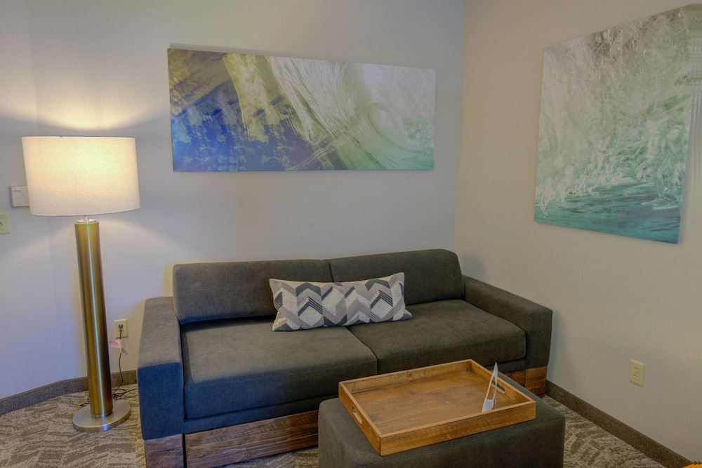 Springhill Suites Macon 14/28