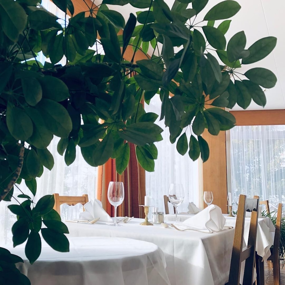 Hotel Regina Terme 17/50