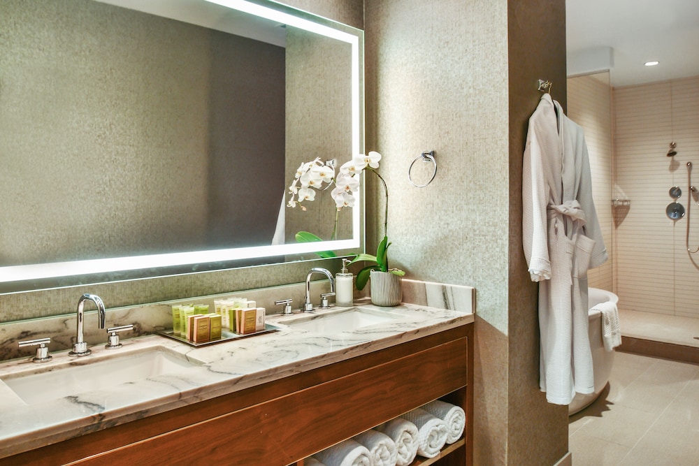 Hilton Dallas Park Cities 27/81