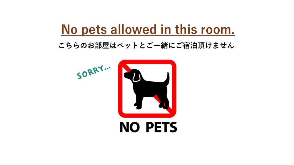Plus, Standard, 2 Bunk Beds