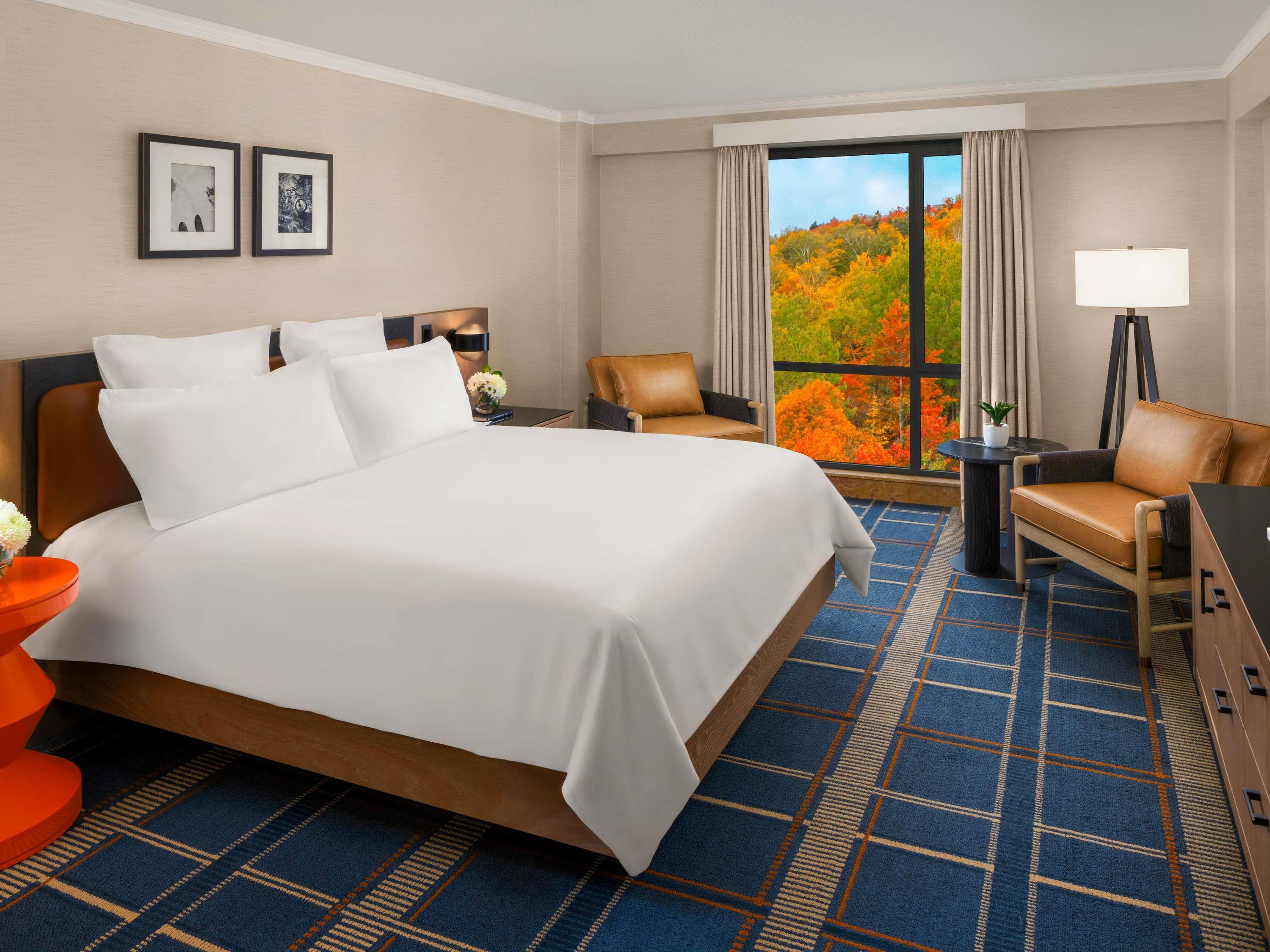 1 Bedroom, Renovated, Luxury, Suite, King Bed