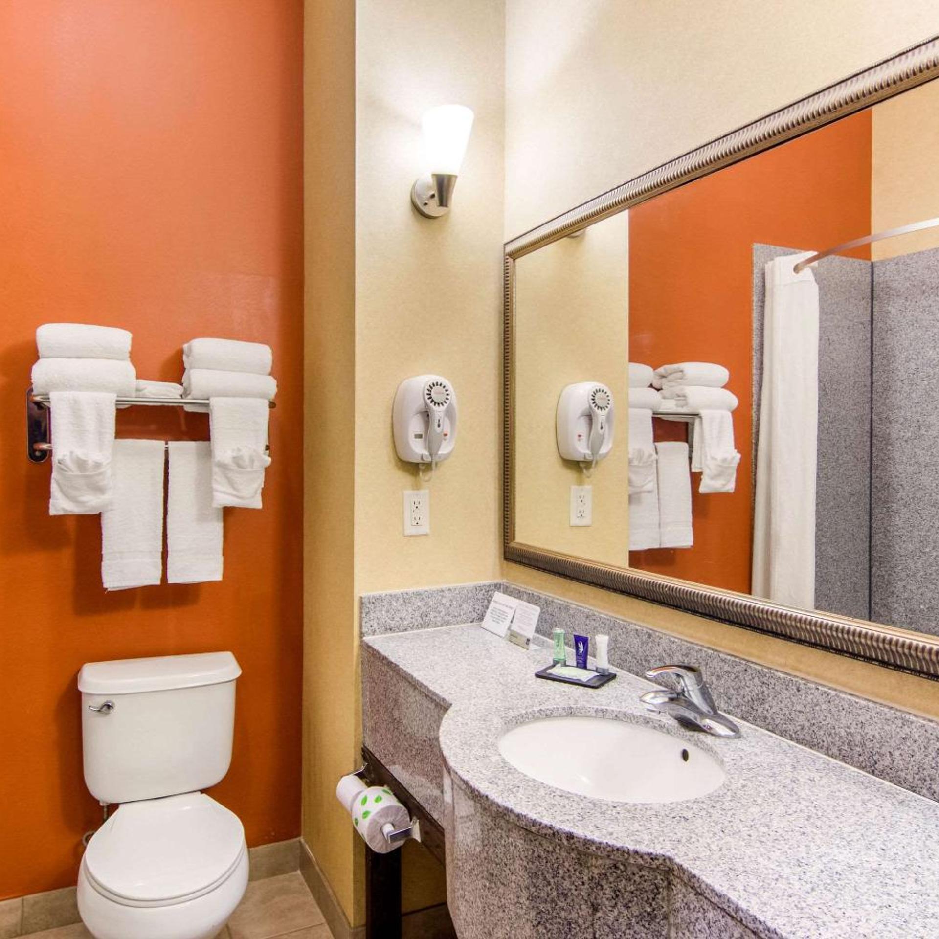 Room, King Bed, Pet Friendly, Sleep Inn & Suites Athens South 5/7