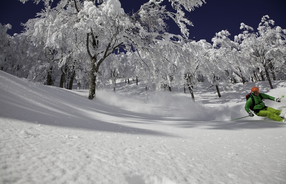 Hotel Green Plaza Hakuba 45/50