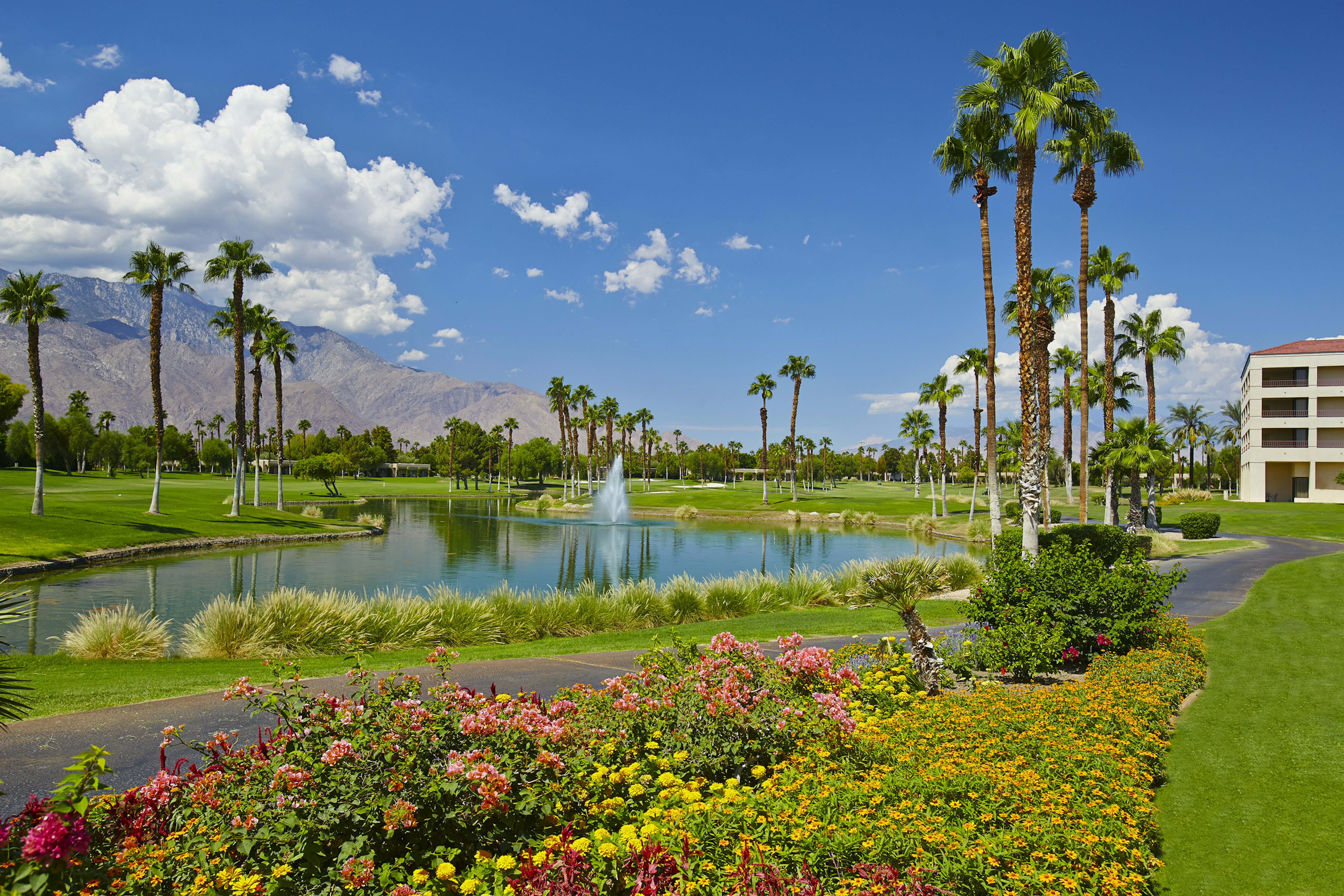 Doubletree By Hilton Golf Resort Palm Springs 73/81