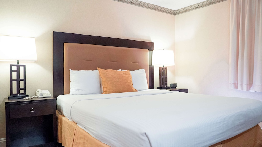 SUITE, MULTIPLE BEDS
