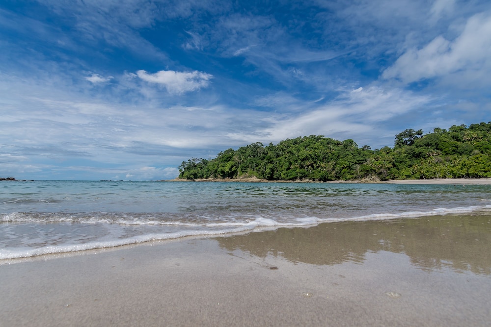 Manuel Antonio 37/49