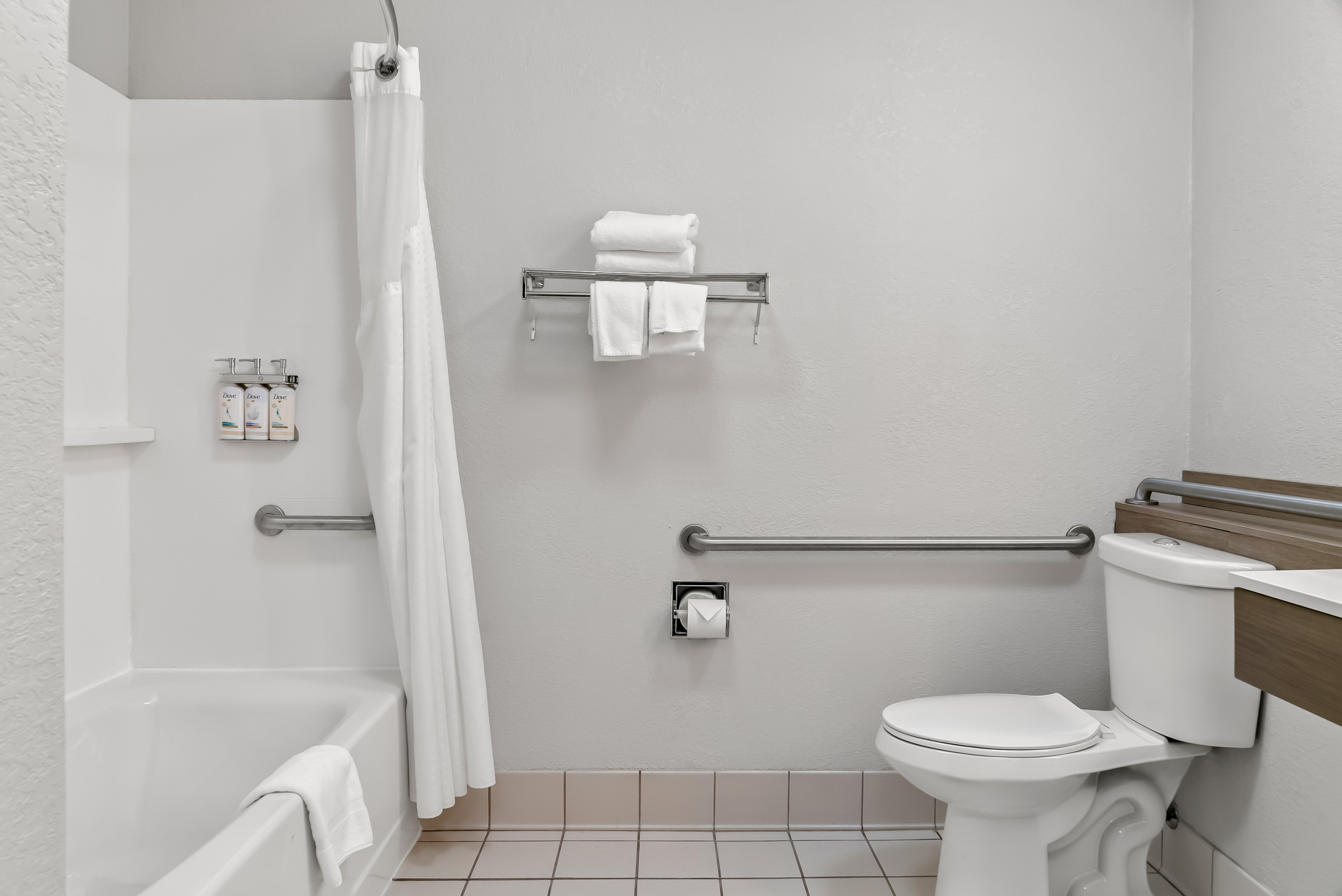 Holiday Inn Express Lapeer 68/71