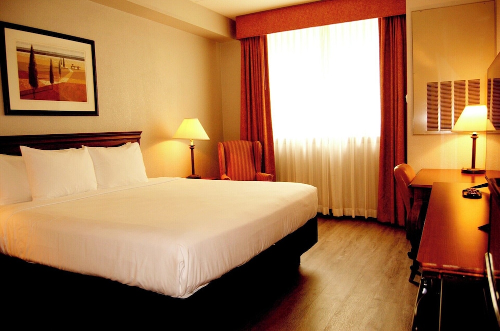 Economy, King Bed