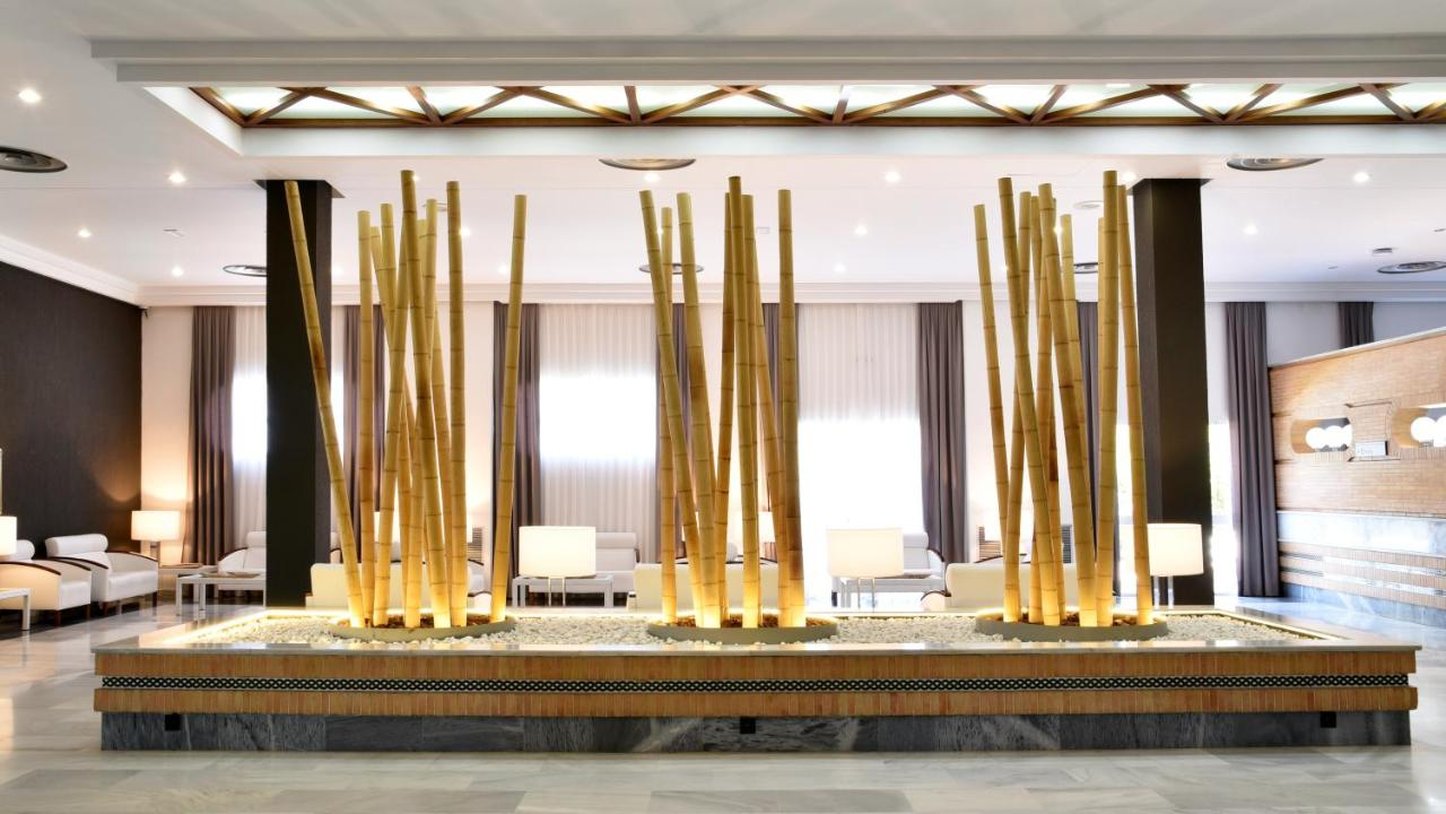 Hotel TRH La Motilla 17/34