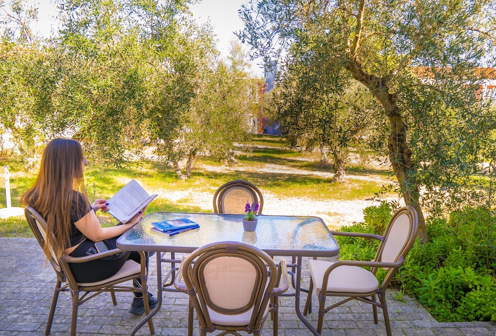 Olive Trees Garden 24/27