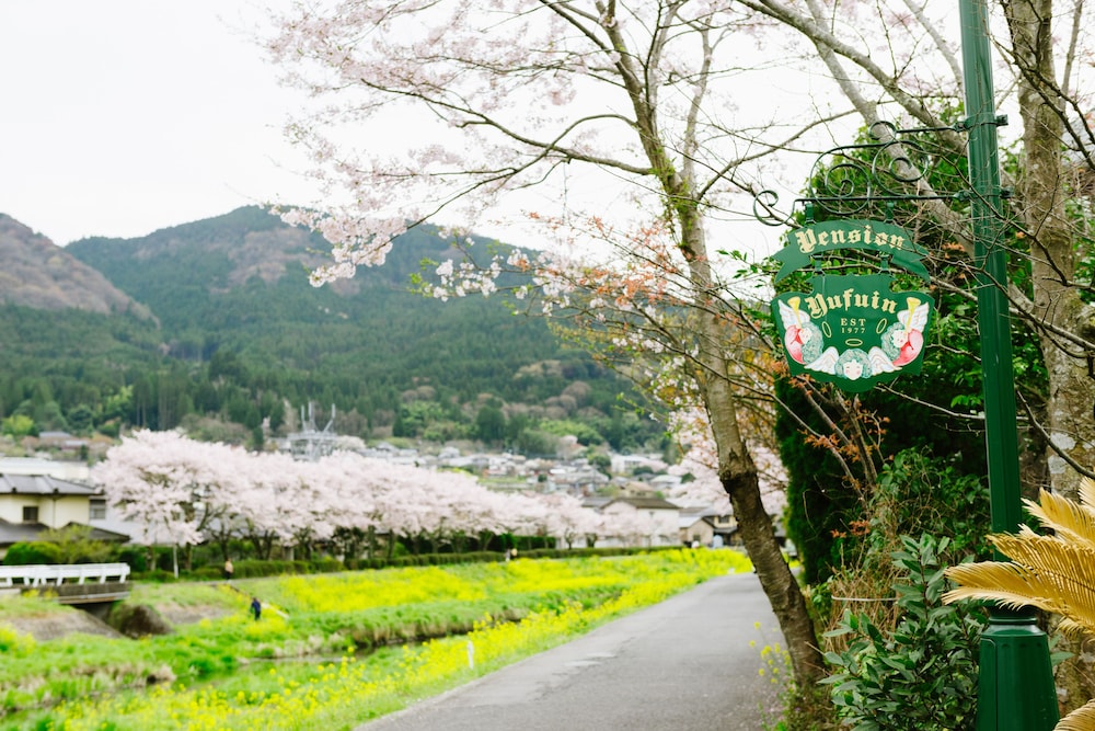 B&Bペンション由布院 写真4