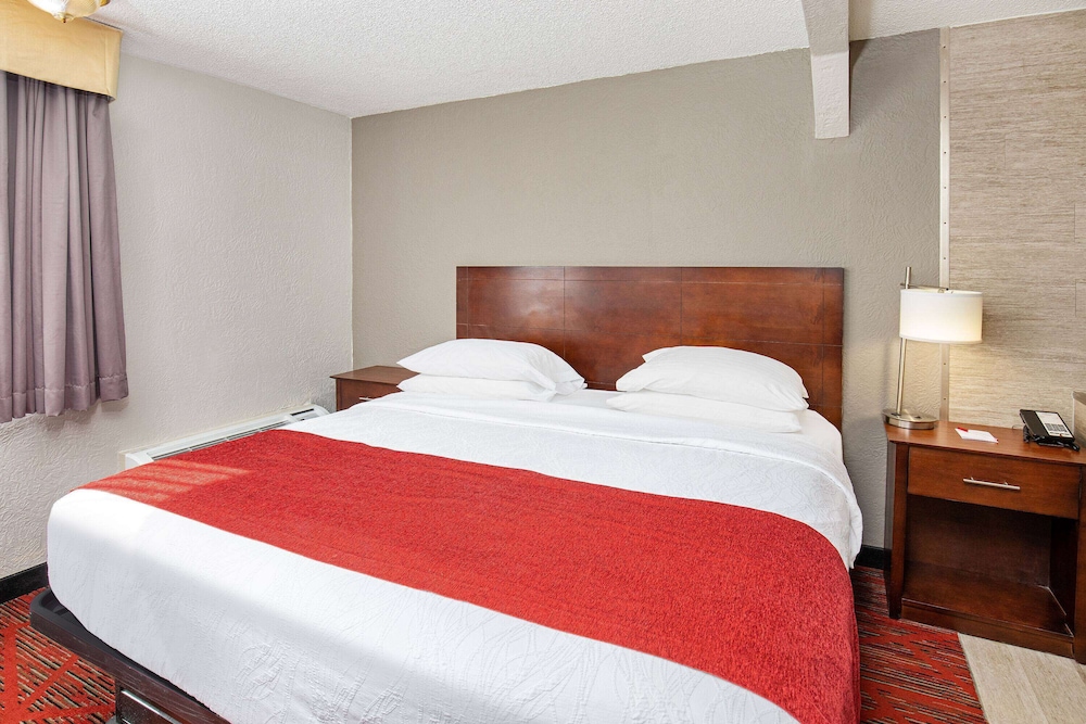 Room, King Bed, Accessible