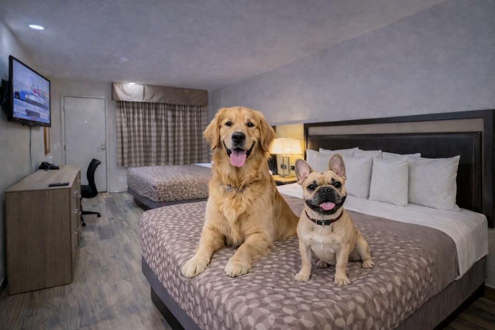 Discovery Inn 35/56