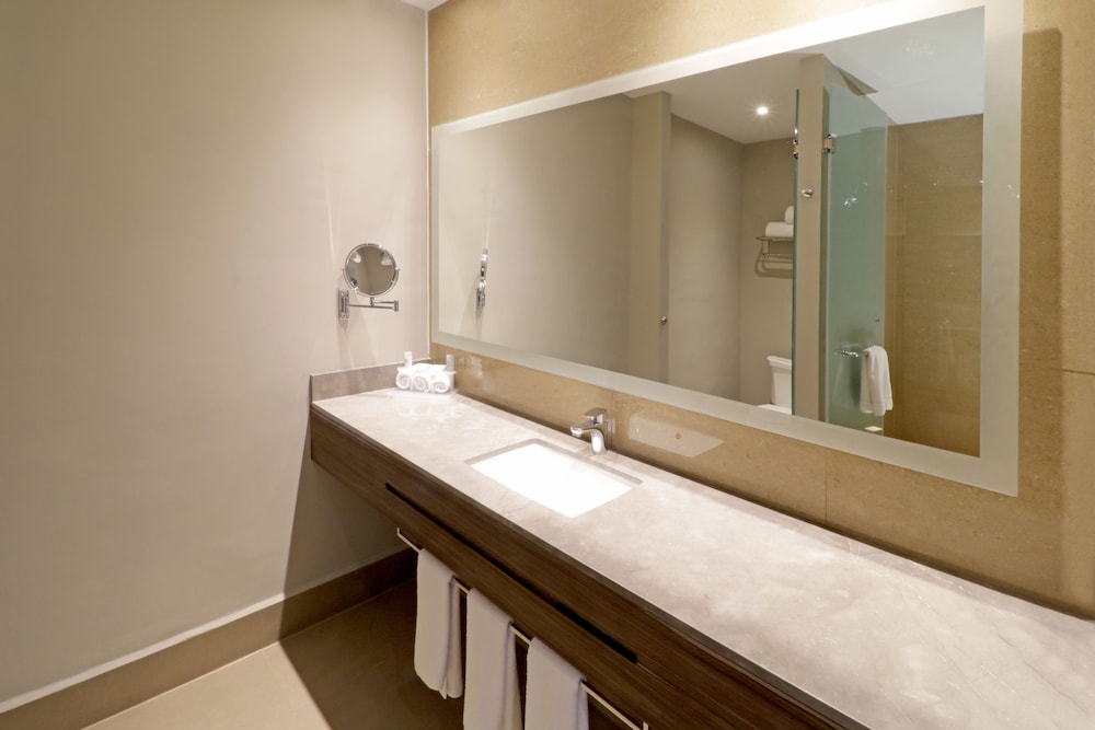 Holiday Inn Express Suites Monterrey Valle 46/74