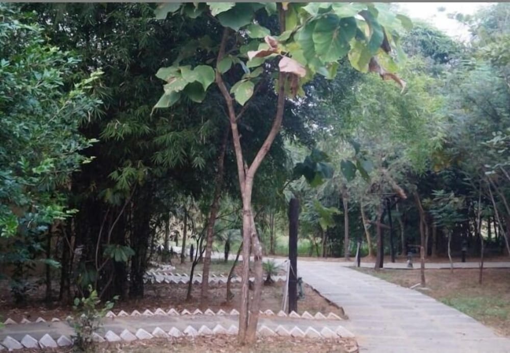 Mogli Resort 37/50