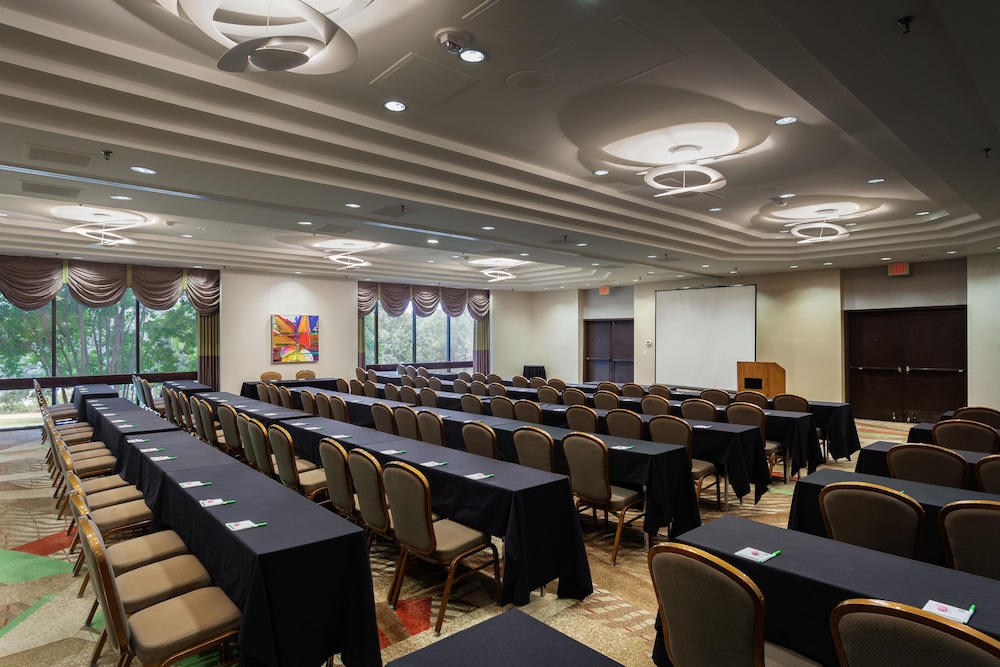 Holiday Inn Austin Town Lake Hotel 34/50