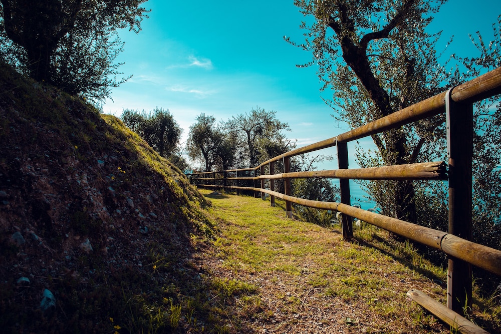 Domina Borgo Degli Ulivi 57/71