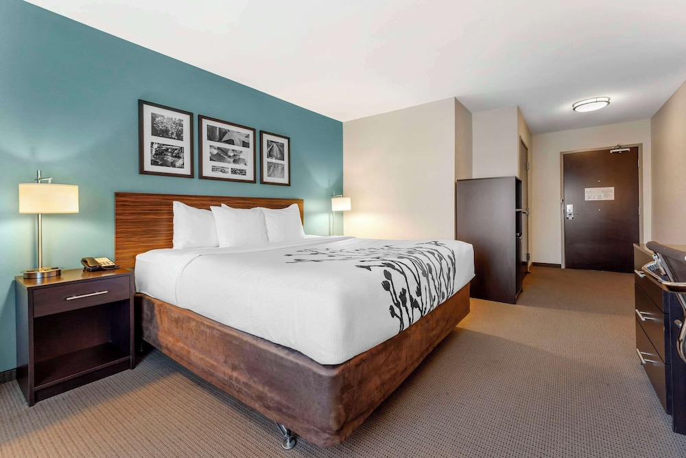 Room, King Bed, Accessible