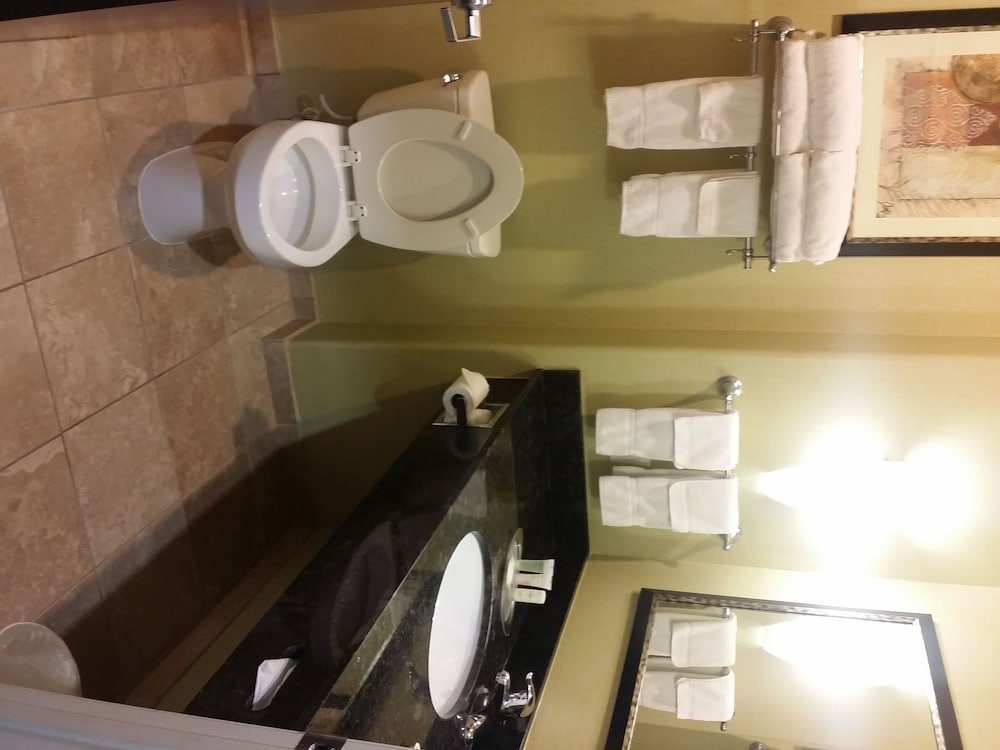 Comfort Suites Houston IAH Airport - Beltway 8 18/45
