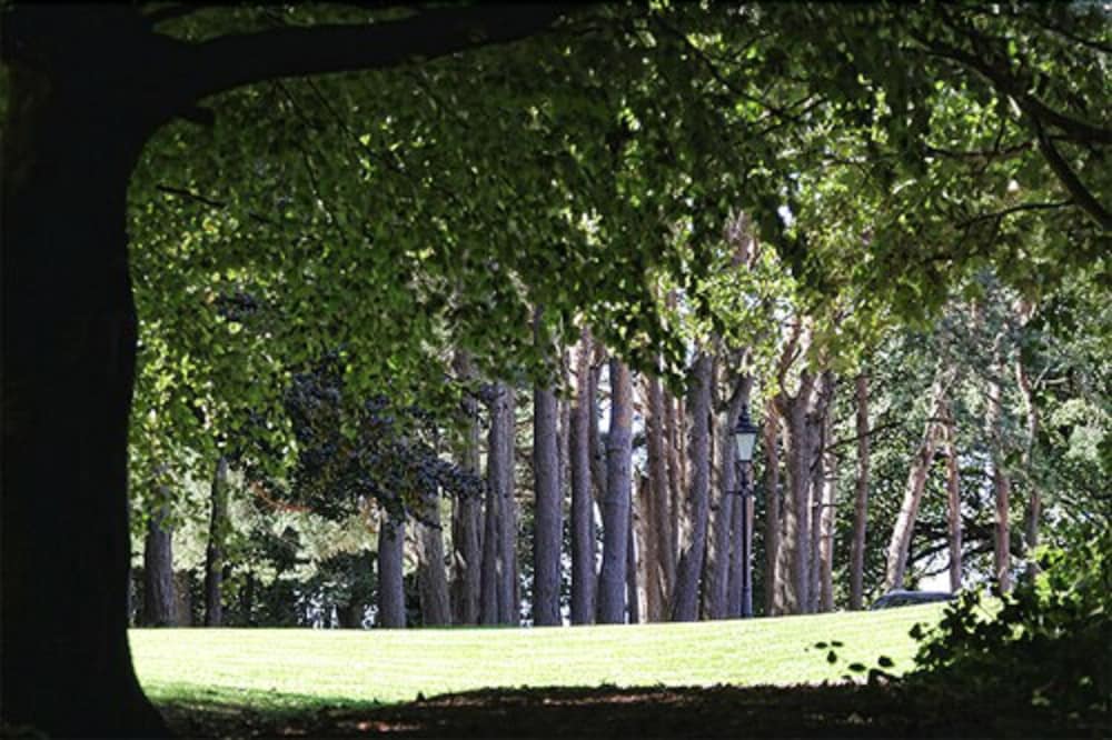 Abbey House Hotel 41/50