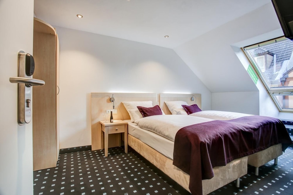 Rhein Neckar Hotel Mannheim 13/44