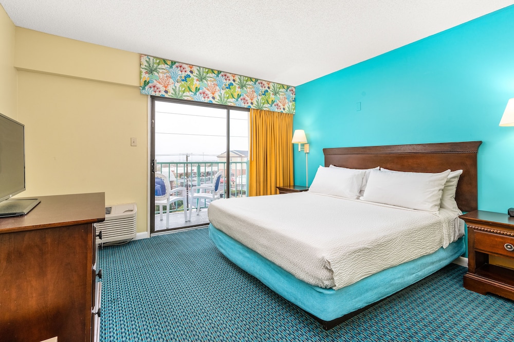 SUITE, KING BED