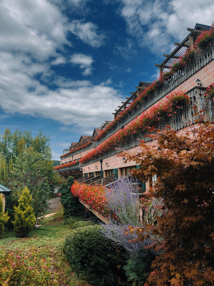 Les Violettes Hotel & SPA Alsace 43/50