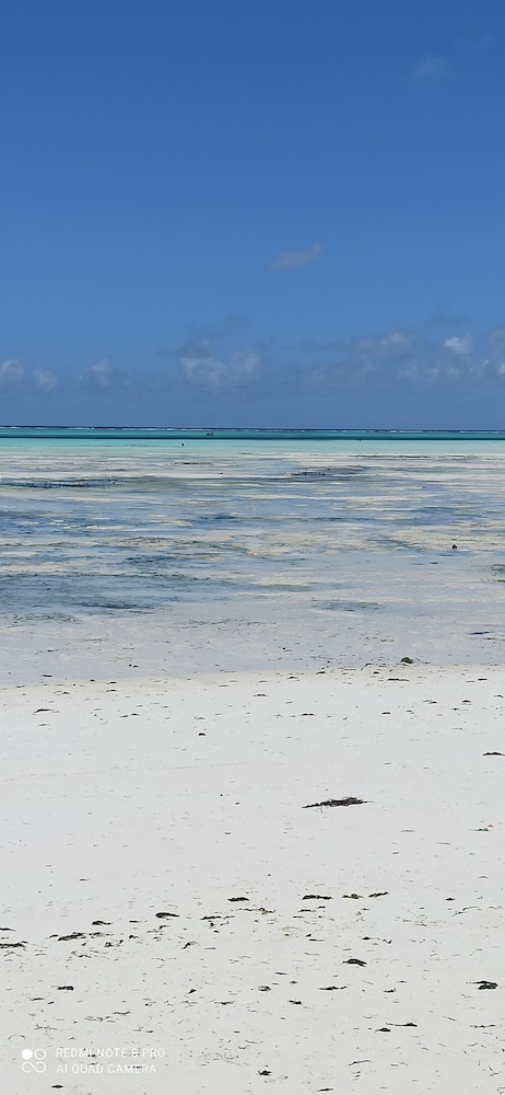 Arthotel Zanzibar 41/50