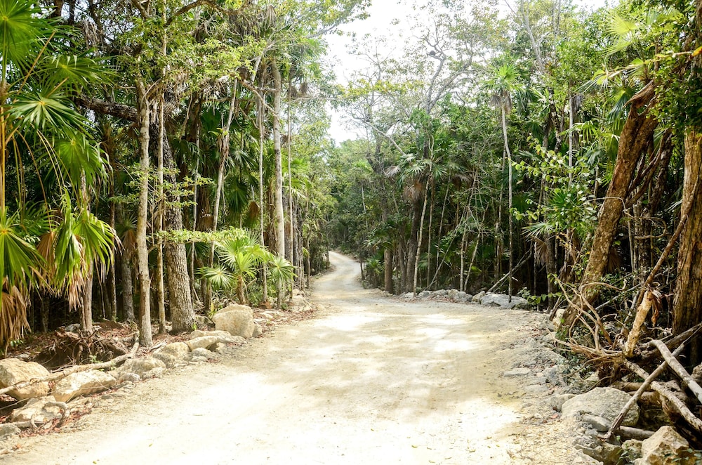 Hotel Casa Tortuga Tulum 44/48