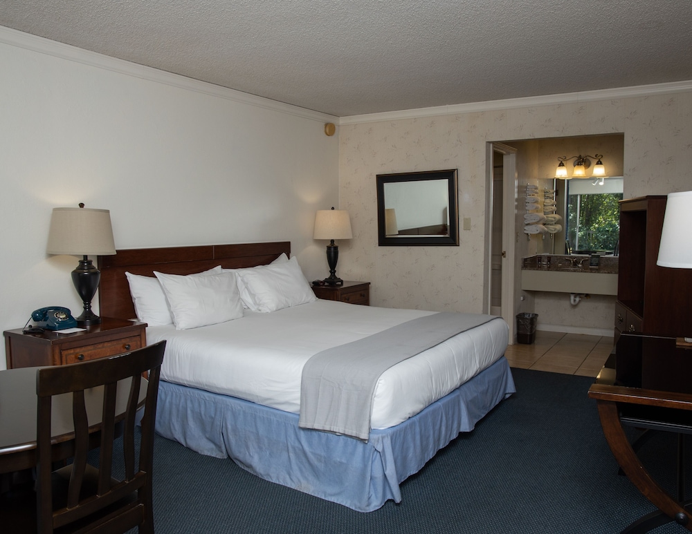 The Occidental Lodge 23/55