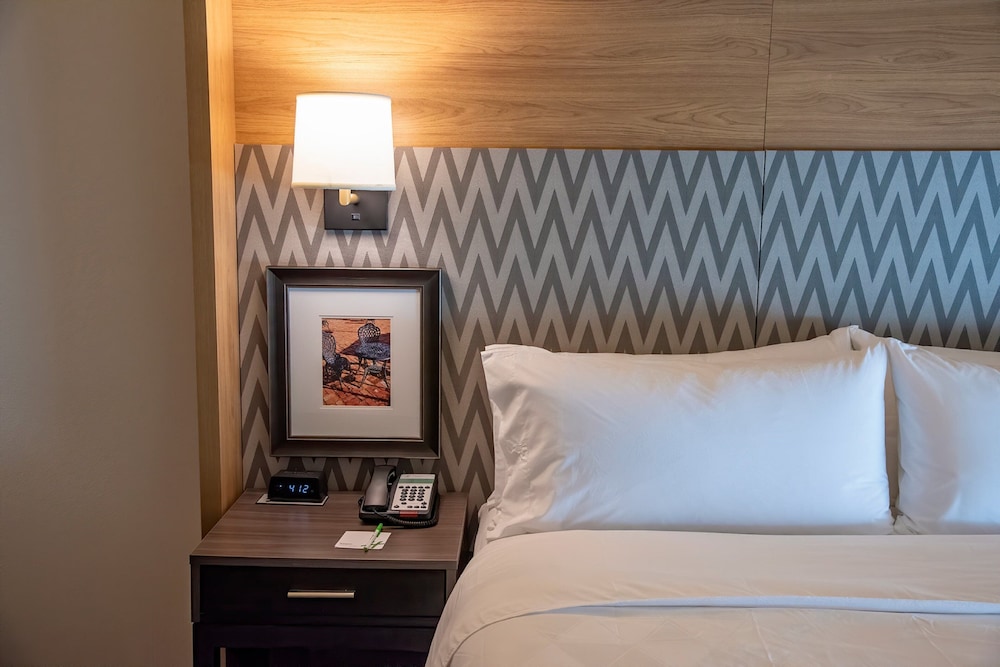 Holiday Inn Suites Savannah Airport Pooler 26/74