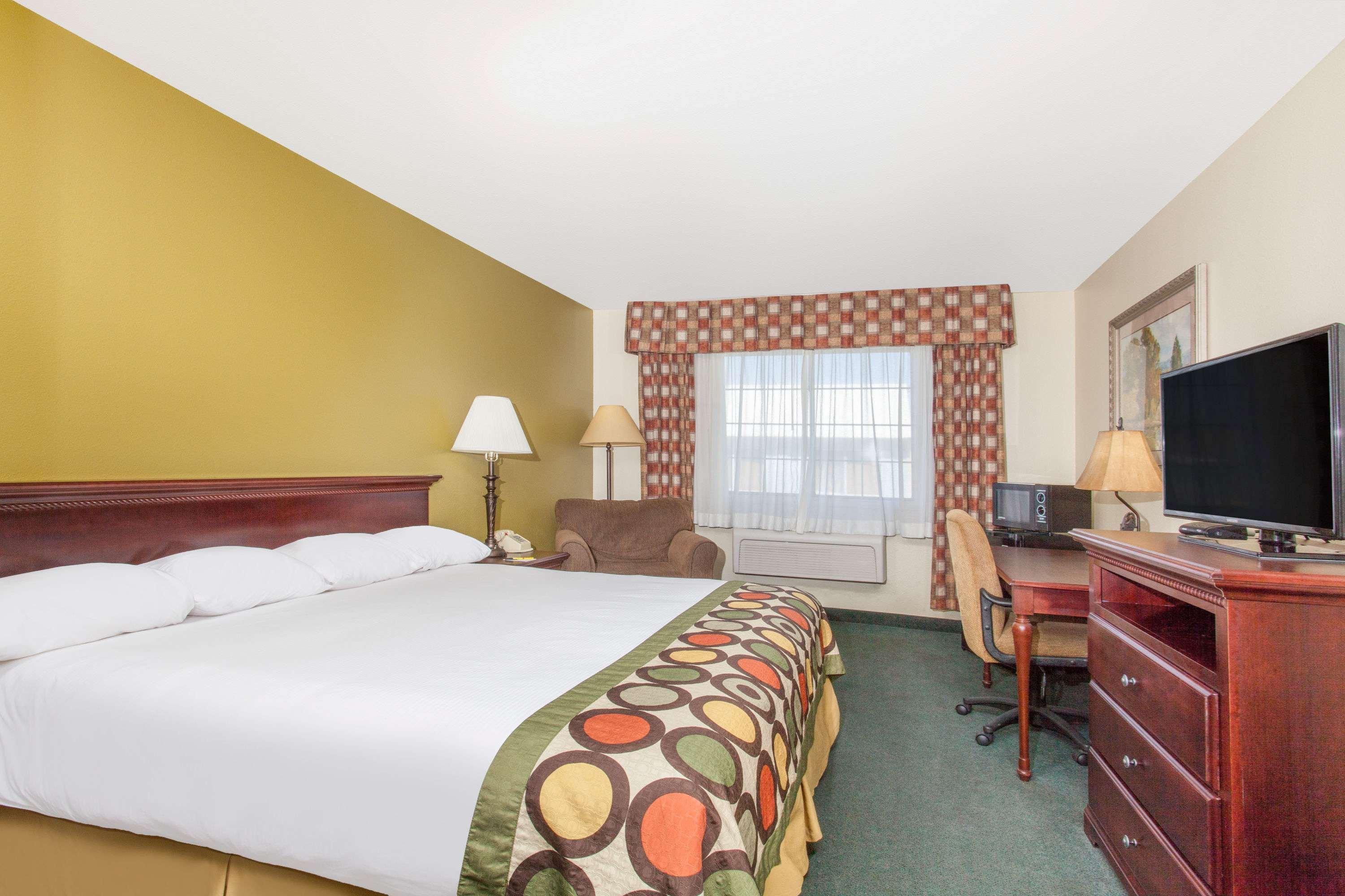 Room, King Bed
