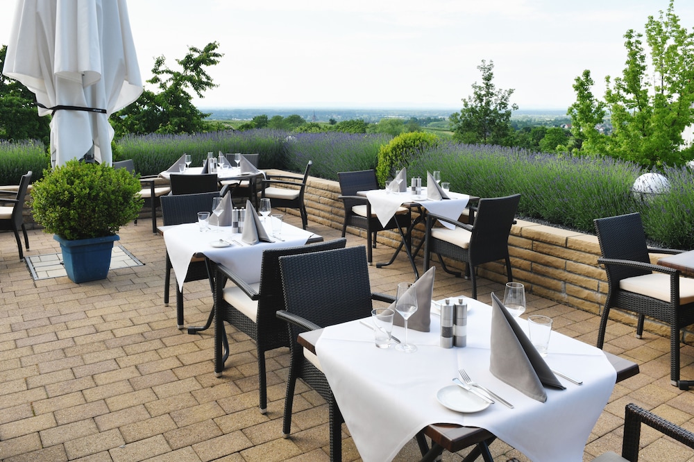 Hotel Rebenhof 40/50