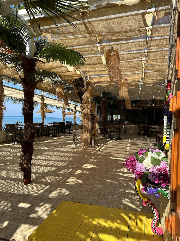 Kervan Tatil Koyu 36/41
